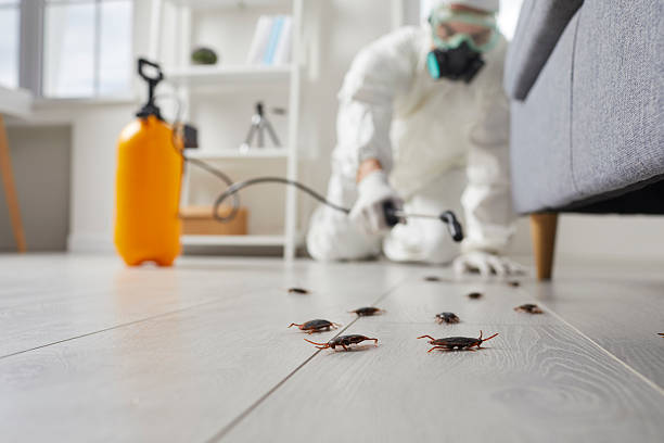 Commercial Kitchen Cockroach Control in Escobares